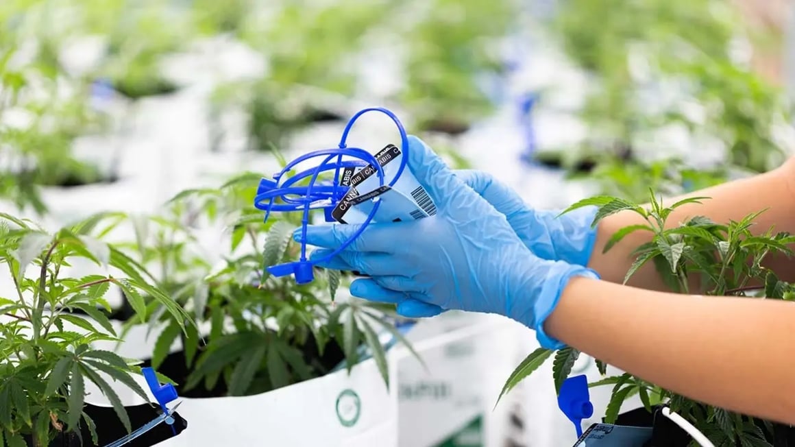 1.3.24_track-and-trace-x