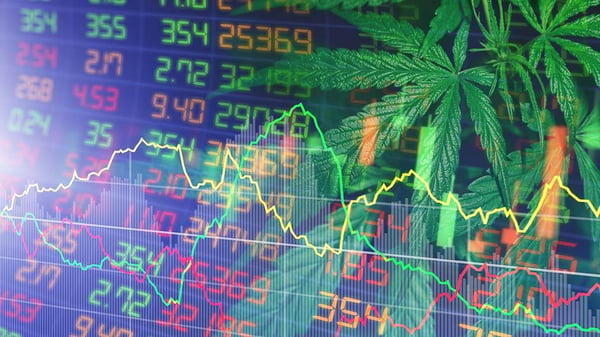 Cannabis stocks