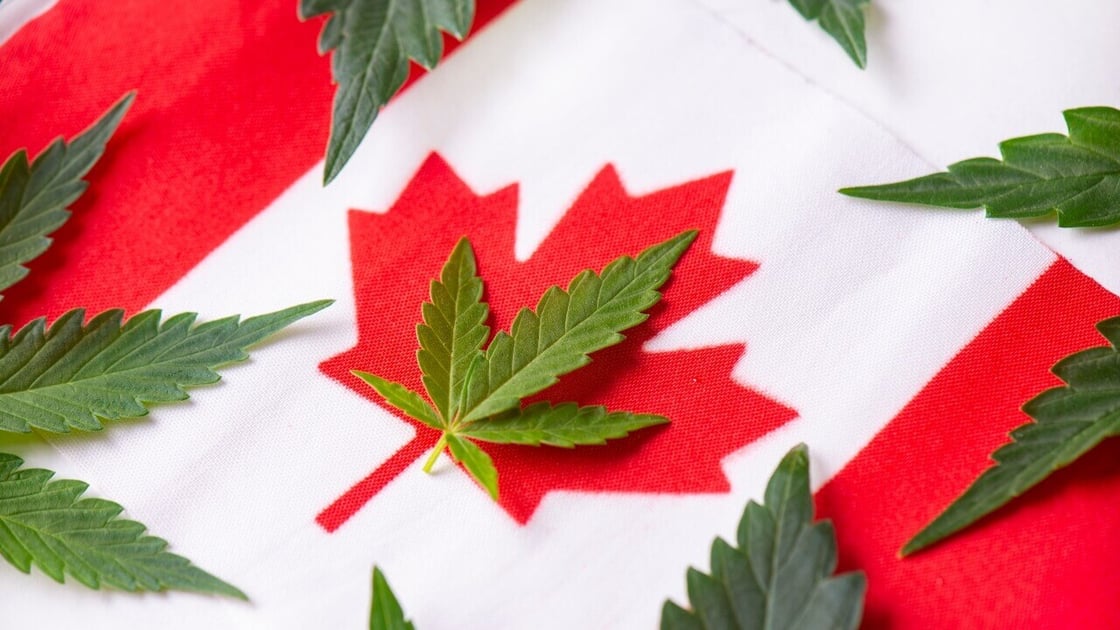 Canada-cannabis-Canadian-flag-1 (1)