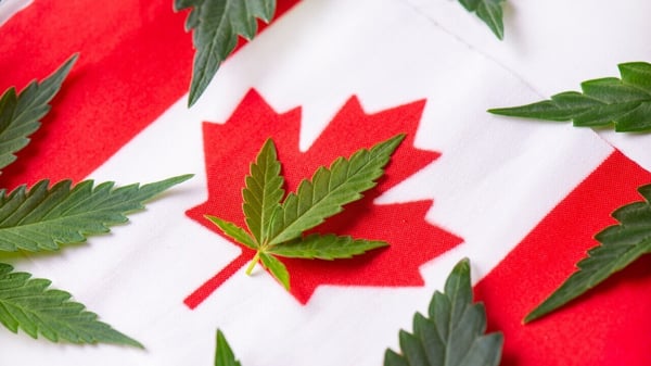 Canada-cannabis-Canadian-flag-1 (1)