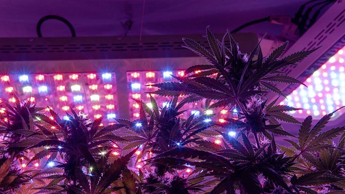 LED lighting