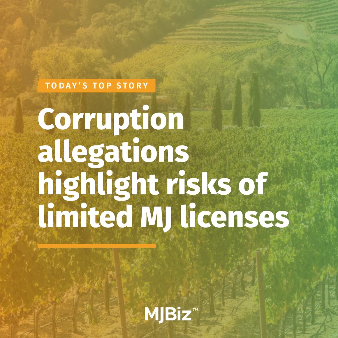 Corruption allegations highlight risks of limited MJ licenses