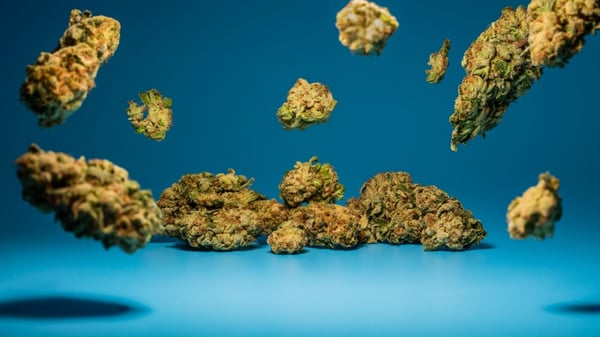 Flower-buds-nuggets (3)