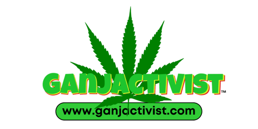 Ganjactivist