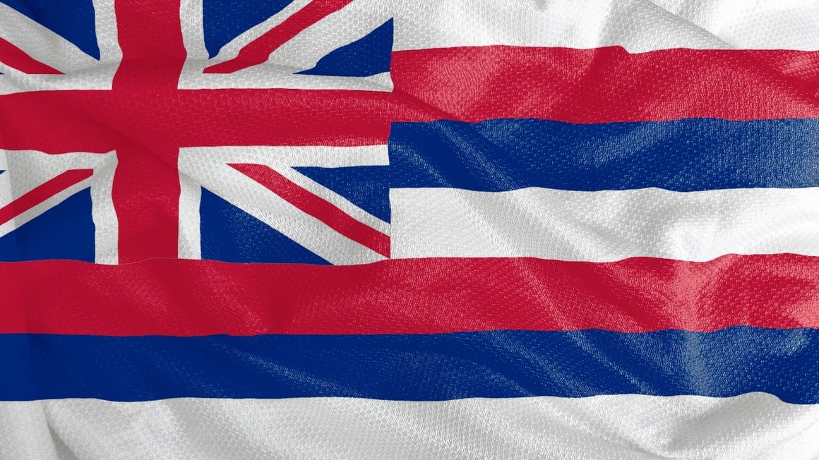Hawaii state flag