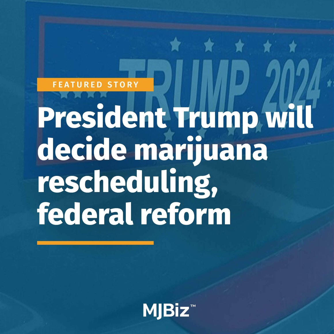 President Trump will decide marijuana rescheduling, federal reform