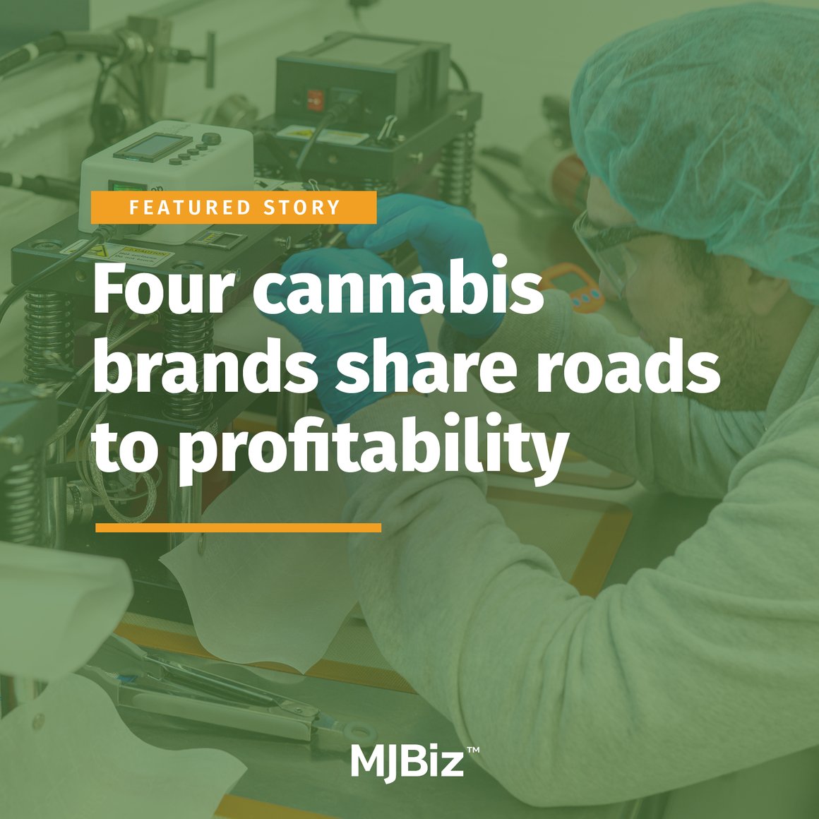 Four cannabis brands share roads to profitability