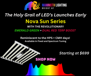 Mammoth Lighting 300 x 250