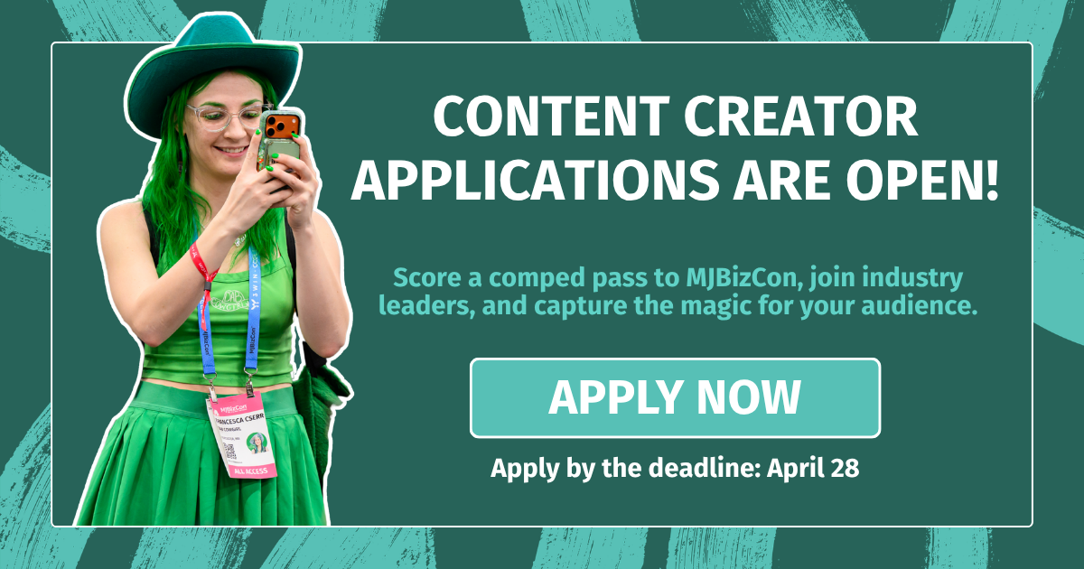 Content Creator Program 2026