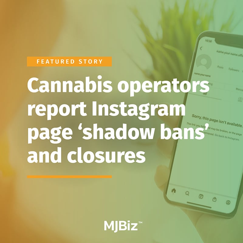 Cannabis operators report Instagram page 'shadow bans' and closures