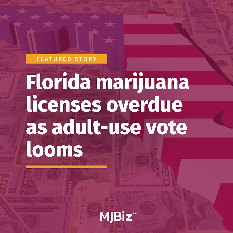 What’s holding up Florida marijuana business licenses?