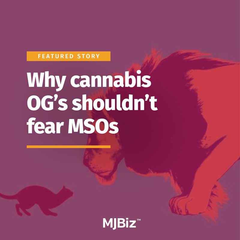 Why cannabis OG's shouldn't fear MSOs