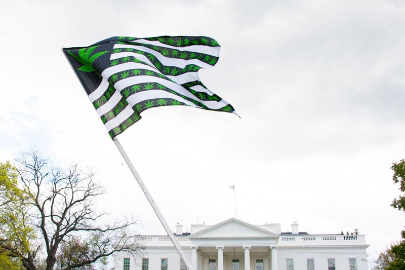 Cannabis flag at The White House