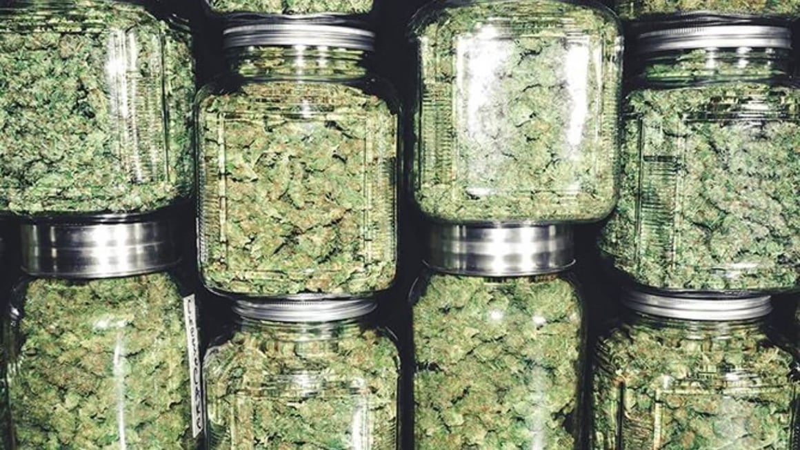 Marijuana-flower-buds-in-jars-1