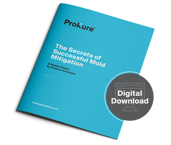 PK_Secrets of Success Brochure Images_001-Opt. 3-1