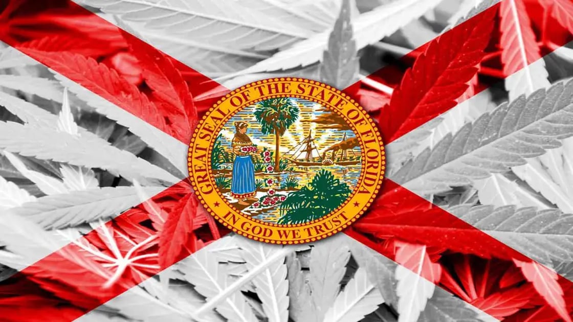 florida state flag marijuana background