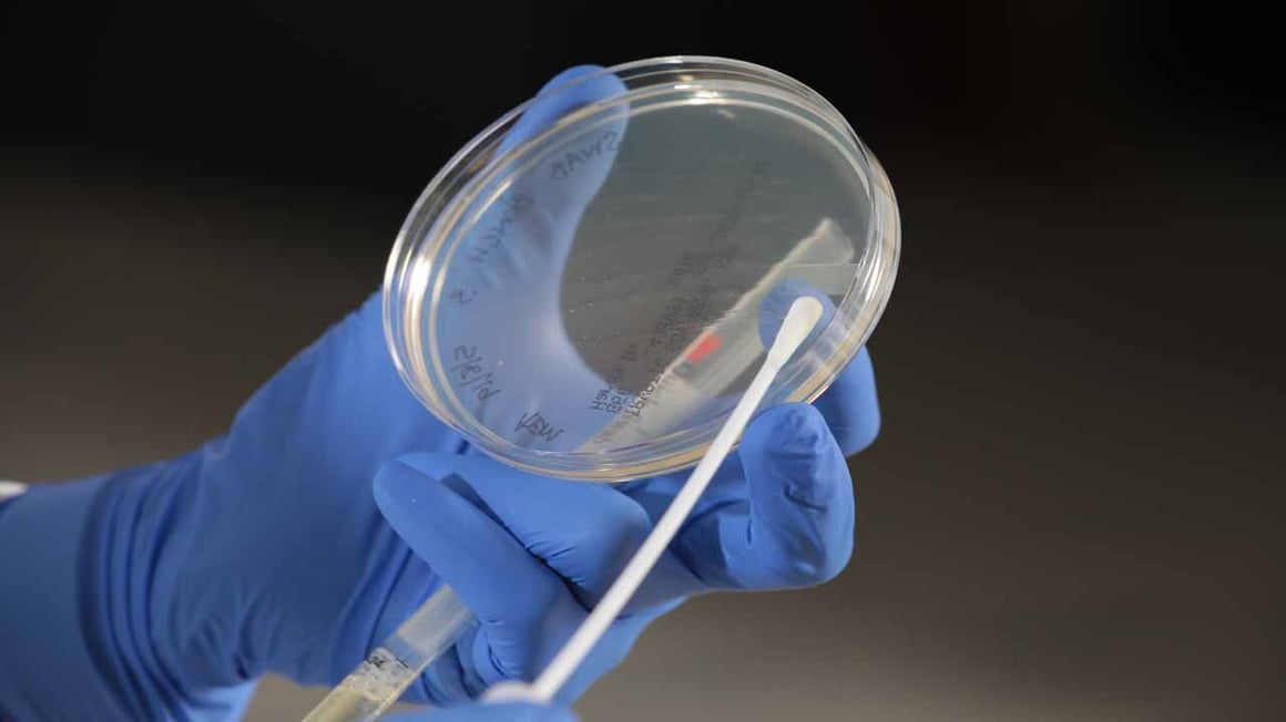 Cannabis testing lab